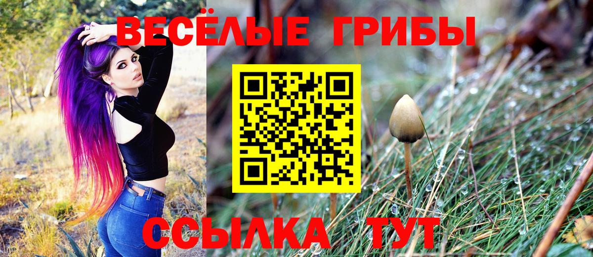 Сочи  Псилоцибиновые грибы Cubensis  Вход с VPN  Псилоцибиновые грибы MAGIC MUSHROOMS 